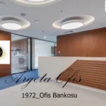 1972 Danışma Bankosu