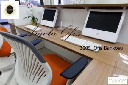 3005 Danışma Bankosu